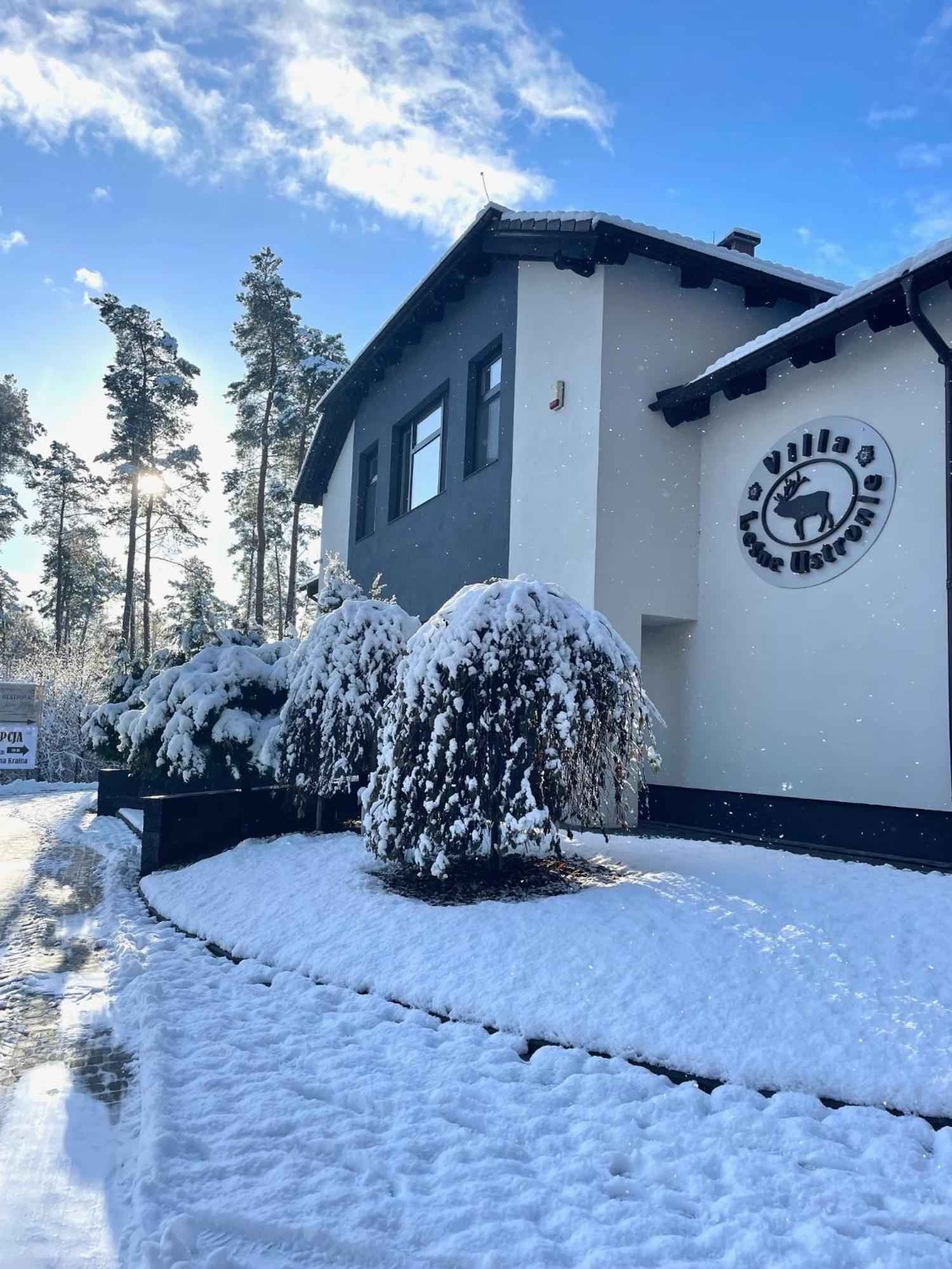 Villa Leśne Ustronie Lubiszewo Esterno foto