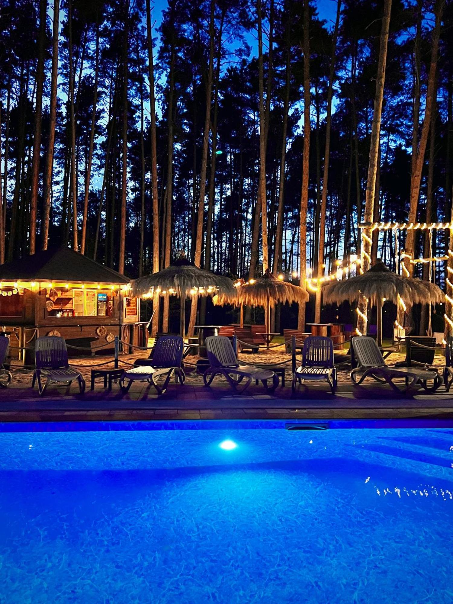 Villa Leśne Ustronie Lubiszewo Esterno foto